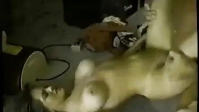 ママは彼女を覗いて彼女の義理の息子を捕まえた。 女性 安心 動画 無料