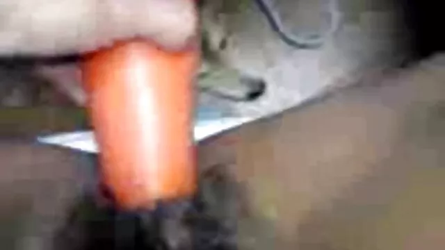 テディ-トンブルドライヤー 女性 安心 エロ 動画