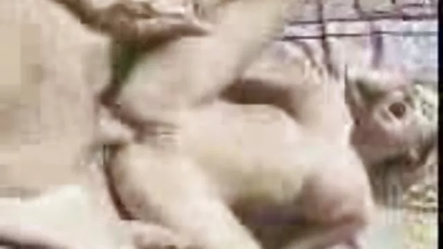 緑の髪の女の子は、家のいたるところに掘削されます。 女性 安心 無料 アダルト